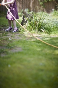 Headless young girl pulling garden hose
