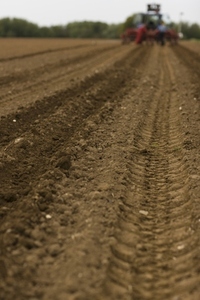 Agricultural field with tractor tyre tracks