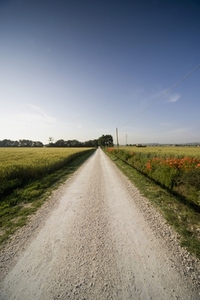 Countryside unmade road