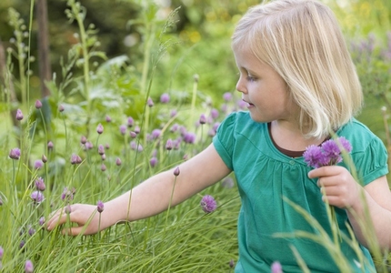 Young blonde little girl standing in a field picking flowers