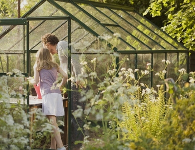 Back view of man and young girl tending plants in a greenhouse