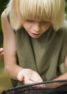 Young boy holding a fishing net inspecting a tadpole on his hand