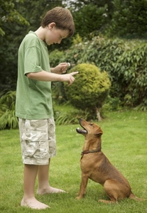 Young boy  training his dog to sit