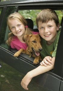 Young boy  and young girl with dog leaning out of car window