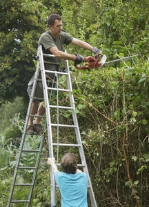 Man standing on a ladder using an electrical hedge trimmer