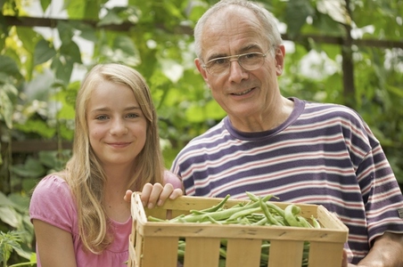 Young girl and mature man holding a crate of broad beans