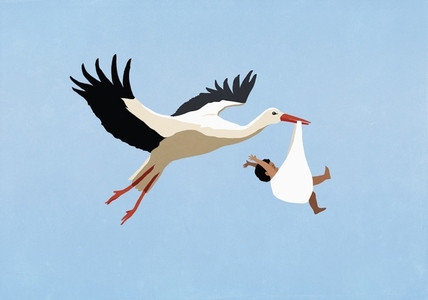 White Stork delivering baby boy flying in blue sky