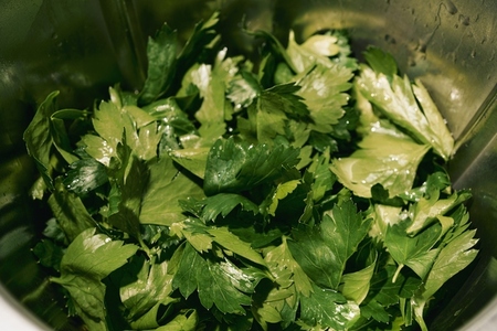 Close up wet cilantro leaves in bowl