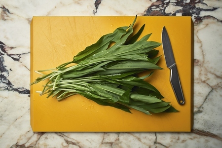 Green wild garlic leaves on cutting board next to knife