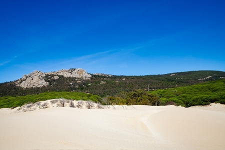 Dunes at Tarifa beach  nature vi