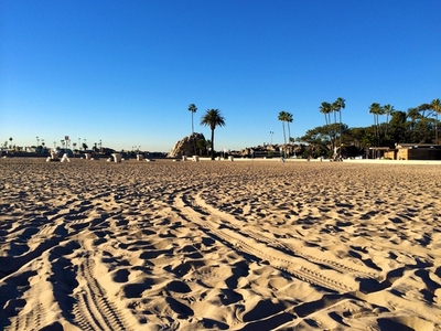 Beach scene