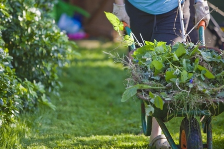 Close up of a gardener hands pushing a wheelbarrow filled with weeds