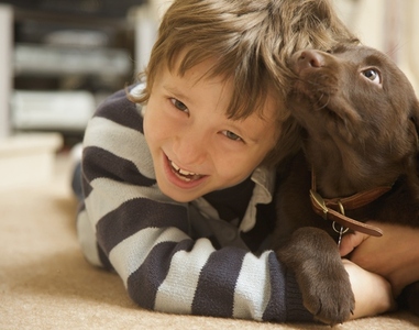 Smiling boy with a chocolate labrador puppy chewing his hair