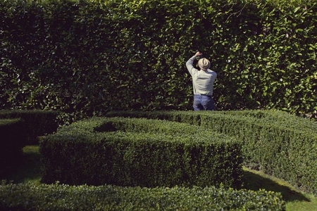 Gardener Cutting Hedge with Electric Trimmer Rear view