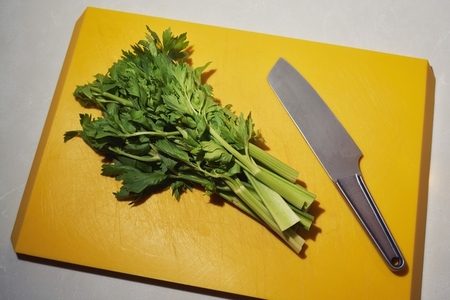 Still life celery and knife on orange cutting board