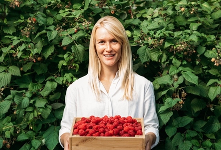 Portrait of a woman agronomist with a box full of raspberries  Young woman with freckles stands near the raspberry bushes holding a box full of berries