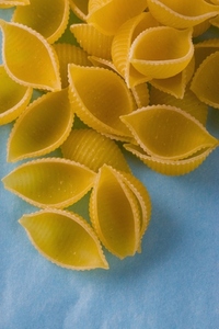 Close up of Conchiglie Pasta Shells