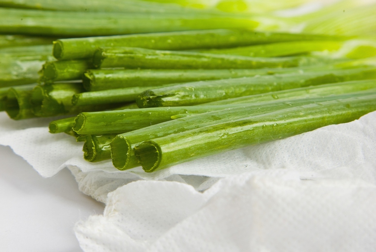 Wet Spring Onions Stalks on White Paper