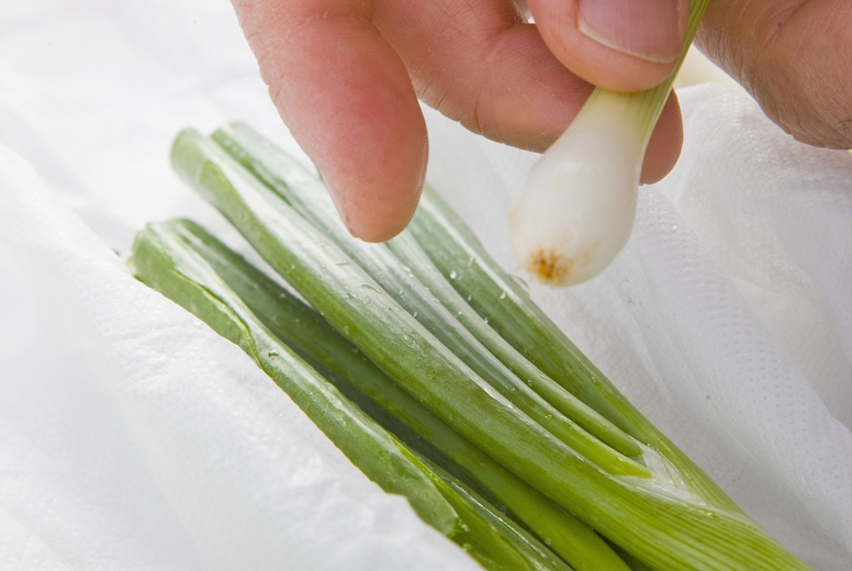 Man's Hands Holding Spring Onions