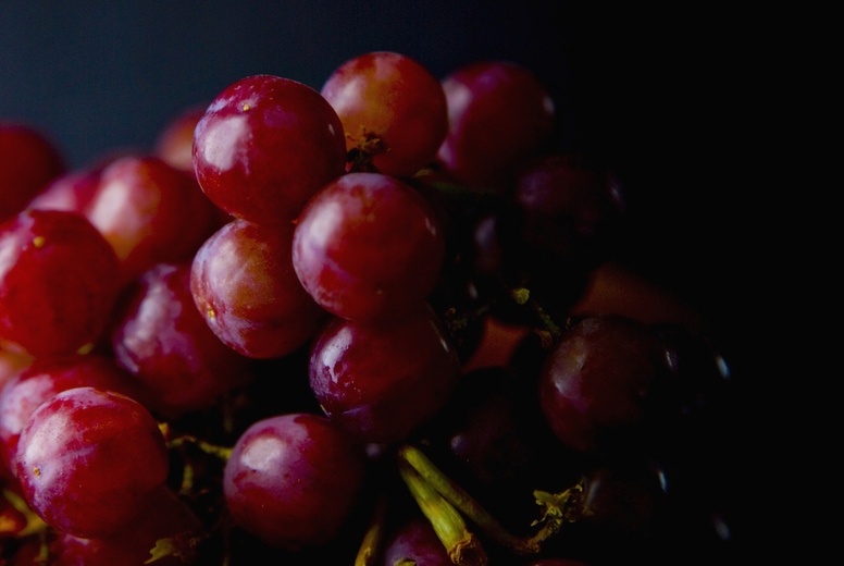 Close up of Red Wine Grapes