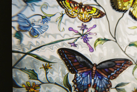 Glass Butterflies