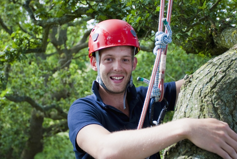 Man climbing a tree