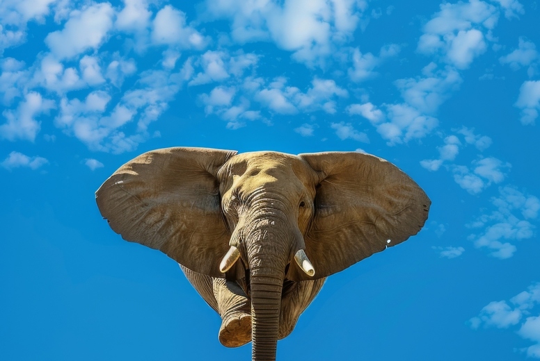Flying elephant
