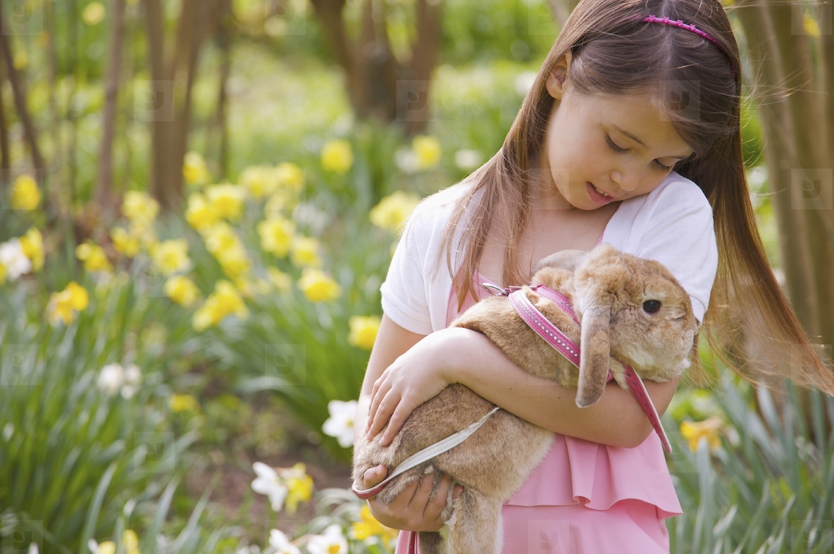 Close up of a young girl holding a lop eared rabbit in a field of daffodils