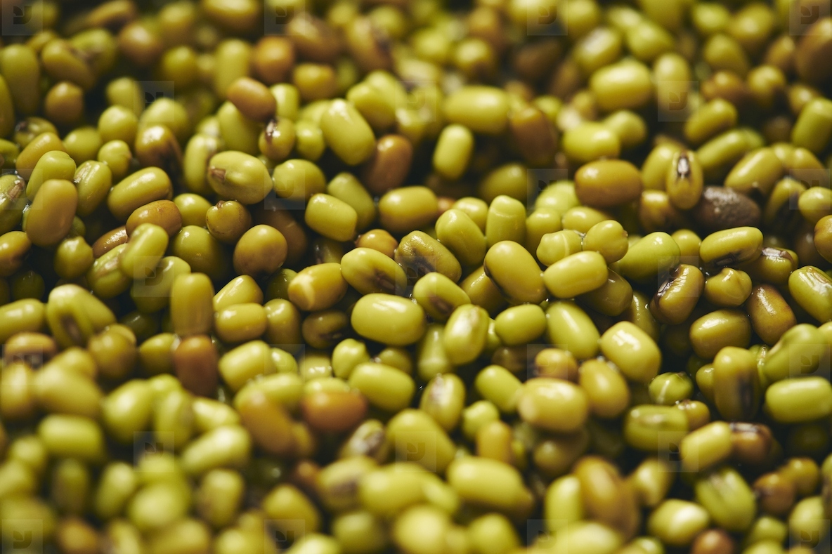 Full frame close up heap of green and brown mung beans