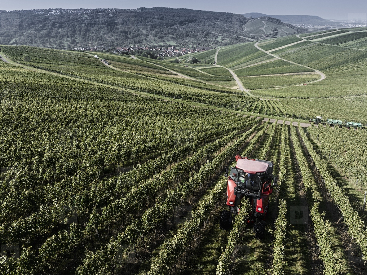 Scenic view of rolling green vineyard landscape with tractor and mountains