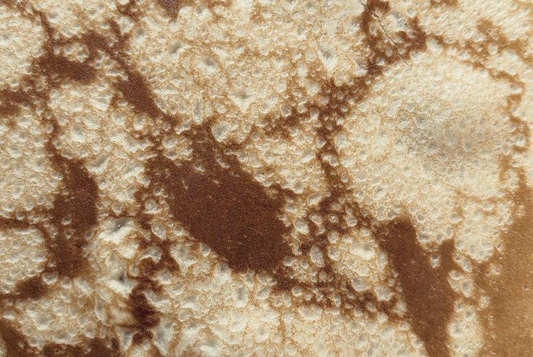 Full frame extreme close up of a pancake surface