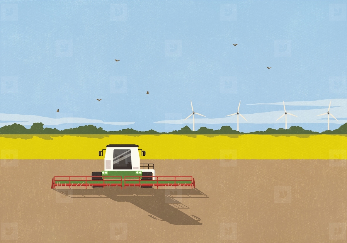 Combine harvester in sunny rural farm field with wind turbines in background