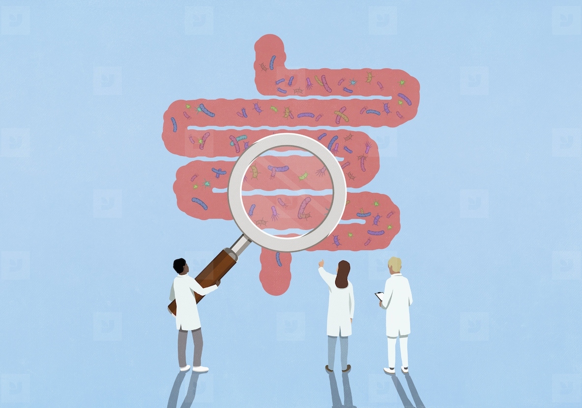 Scientists with magnifying glass examining bacteria in intestines