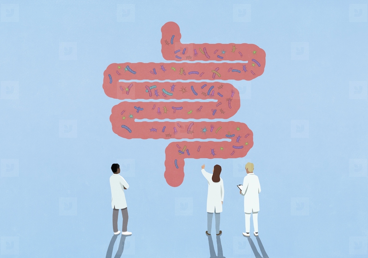 Scientists examining various bacteria in large pink intestines