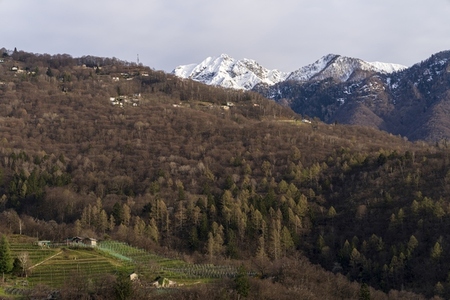 Switzerland 2025 100 Switzerland 2025 100