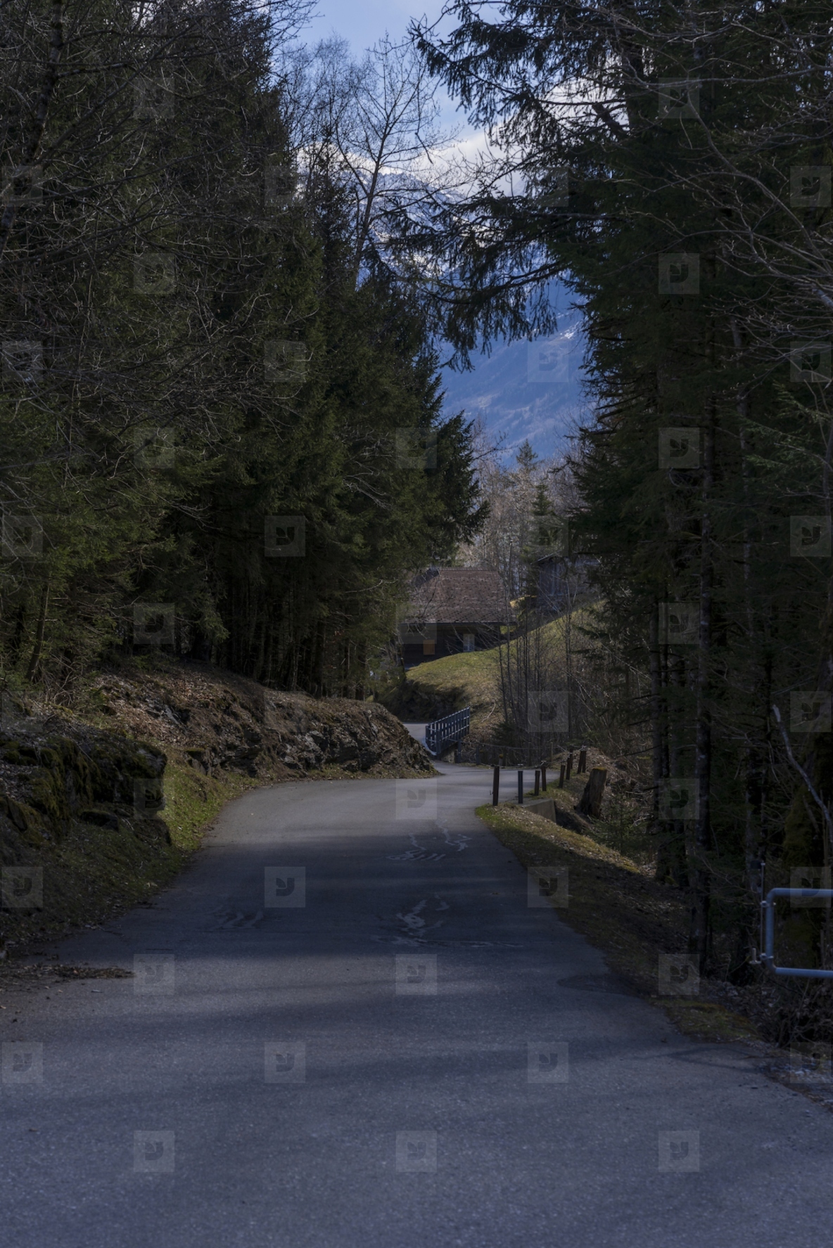 Switzerland 2025 104