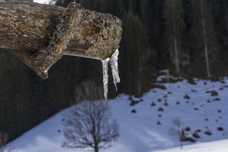 Switzerland 2025 115