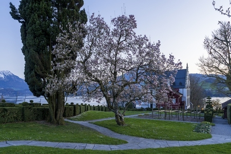 Switzerland 2025 142