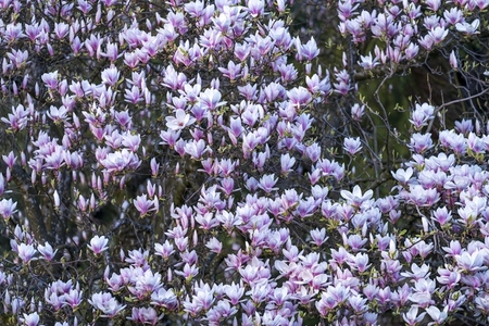 Switzerland 2025 149