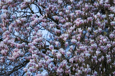 Switzerland 2025 150