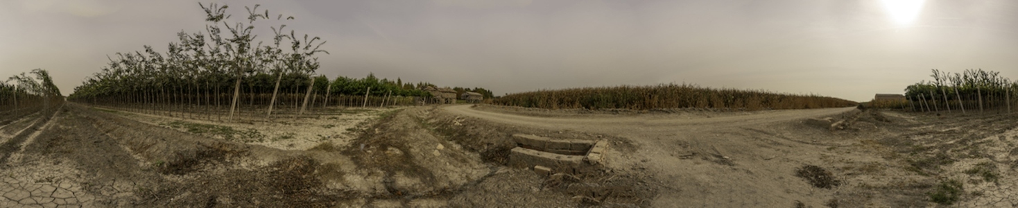 A Beautiful Scenic Vineyard Landscape Featuring a Dusty Path and an Overcast Sky Above A Beautiful Scenic Vineyard Landscape Featuring a Dusty Path and an Overcast Sky Above