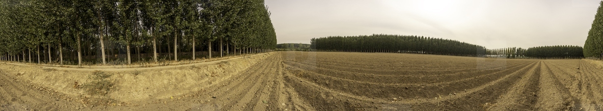 A Breathtaking and Stunning Panoramic View of Lush Tree Lines  Fertile Fields and Natures Beauty