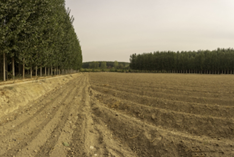 A Breathtaking and Stunning Panoramic View of Lush Tree Lines, Fertile Fields and Natures Beauty