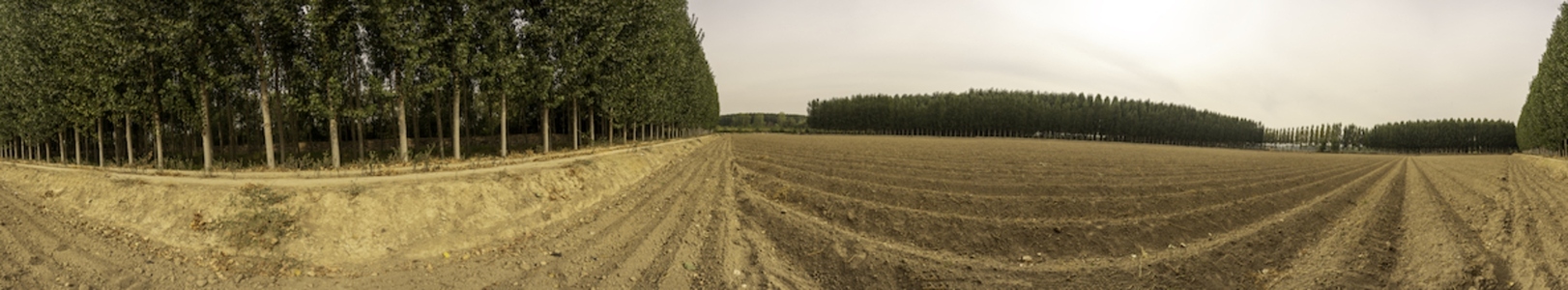 A Breathtaking and Stunning Panoramic View of Lush Tree Lines Fertile Fields and Natures Beauty A Breathtaking and Stunning Panoramic View of Lush Tree Lines Fertile Fields and Natures Beauty