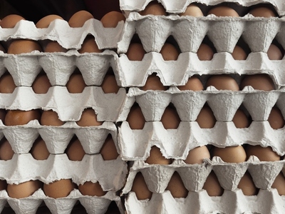 Still life stacks of fresh brown eggs in cartons