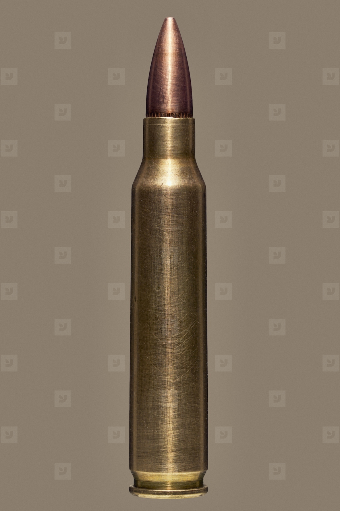 Close up of single 223 Remington bullet cartridge