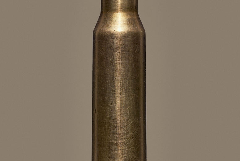 Close up of single 223 Remington bullet cartridge