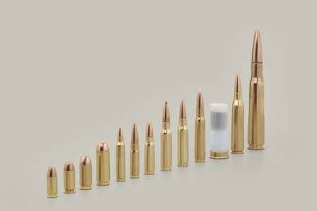 Variety of bullet cartridges
