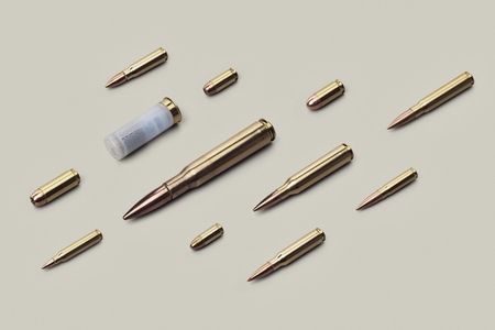 Variety of bullet cartridges laying
