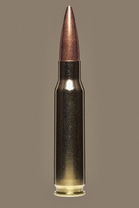 Close up studio shot 308 Winchester